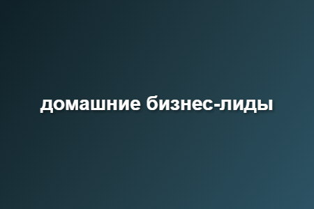 домашние бизнес-лиды